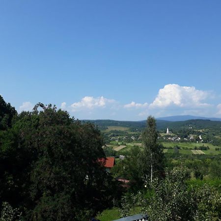 Котедж "Лісовий Затишок" Glubokoye Exterior photo